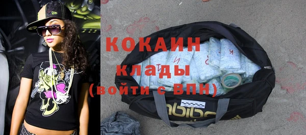 крисы Богородск
