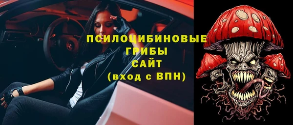 крисы Богородск