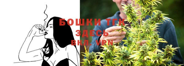 крисы Богородск