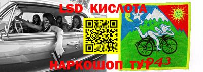 стаф Донецк