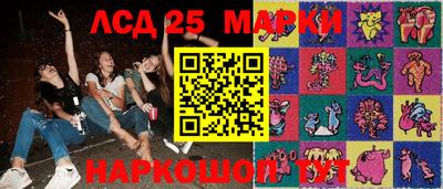 стаф Донецк