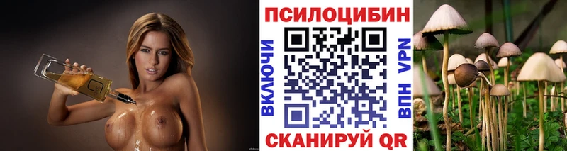 Галлюциногенные грибы Psilocybe  Вязьма 