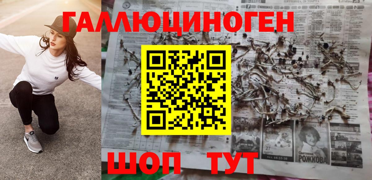 Галлюциногенные грибы Cubensis Вязьма