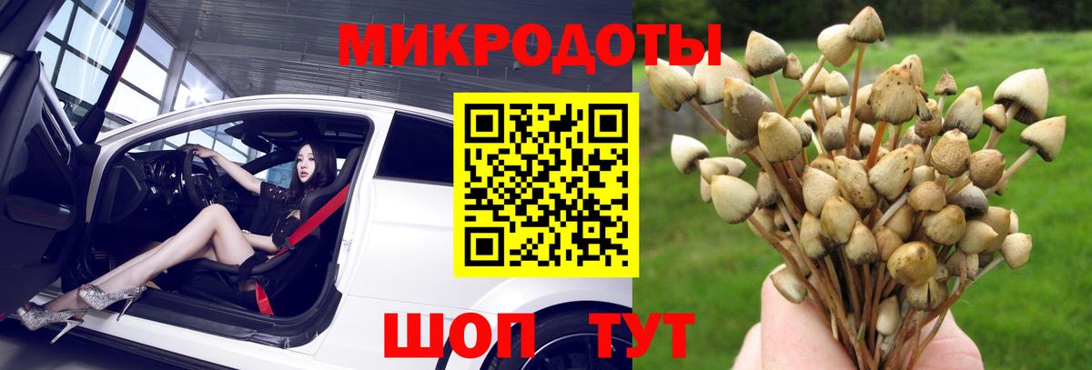 купить наркотик  Галлюциногенные грибы ЛСД  Псилоцибиновые грибы Psilocybe  Вход с VPN  Вязьма 